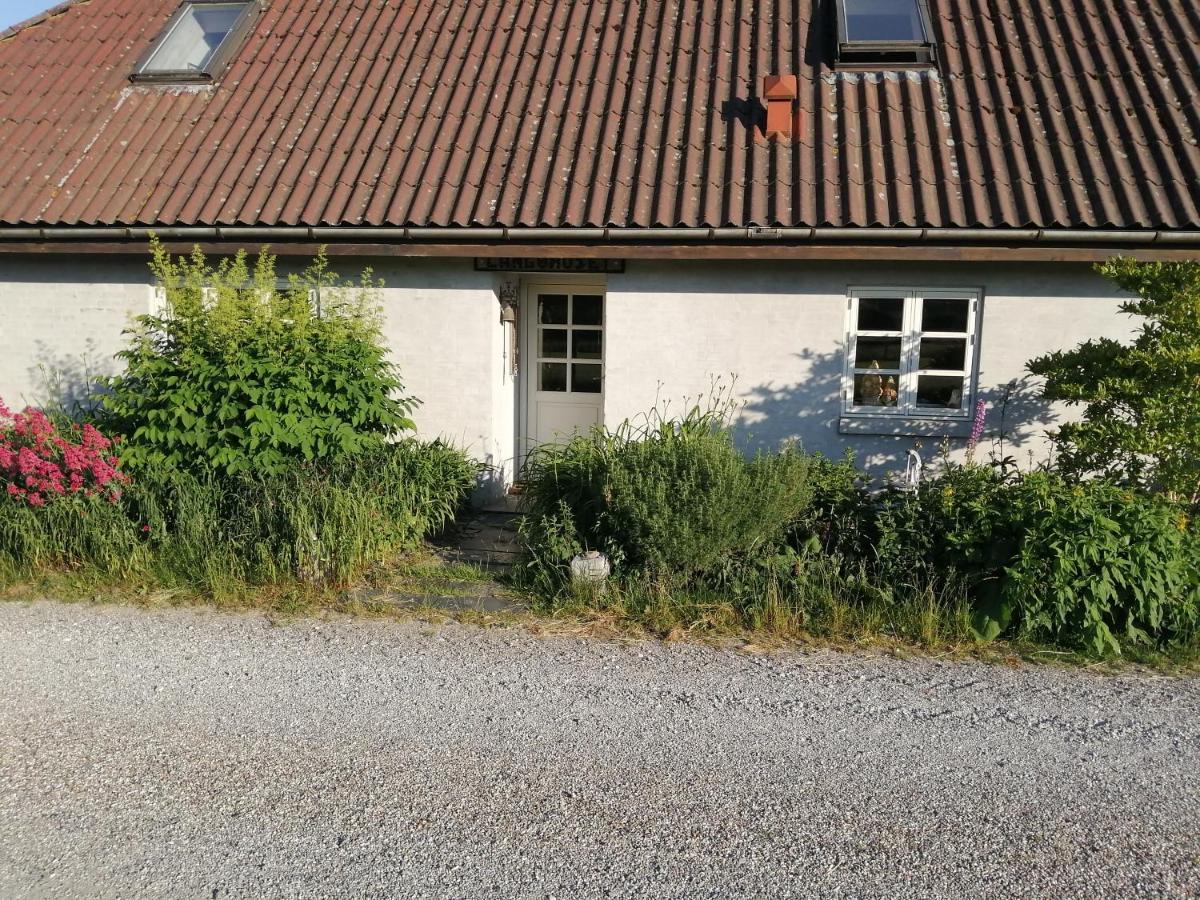 Langohuset Apartment Langebaek Exterior photo